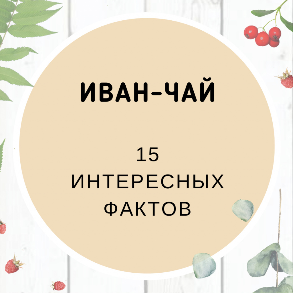 61.jpg
