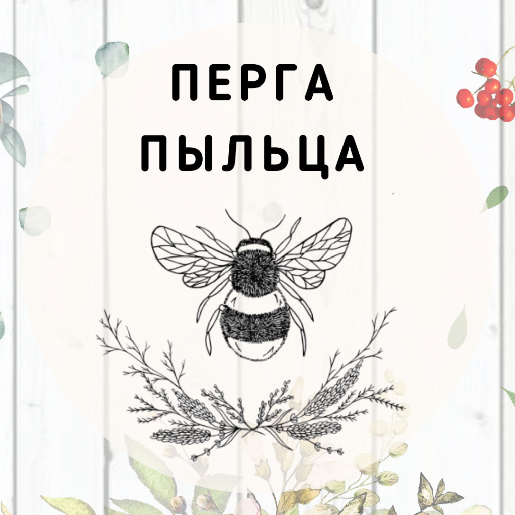 19.06.20.jpg