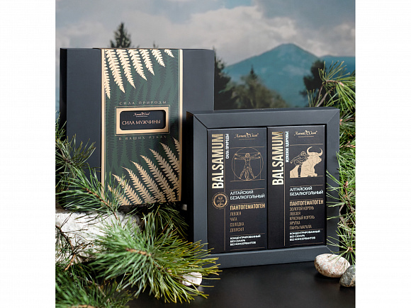 СИЛА МУЖЧИНЫ